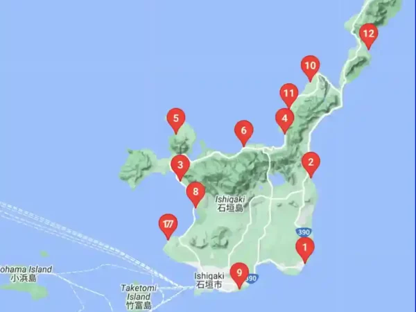 5D石垣島漂着ゴミ回収プロジェクト_回収結果M
